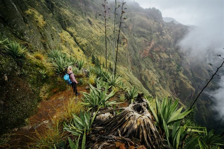 Im Herz der Grünen Insel @Igor Tichonow/istock